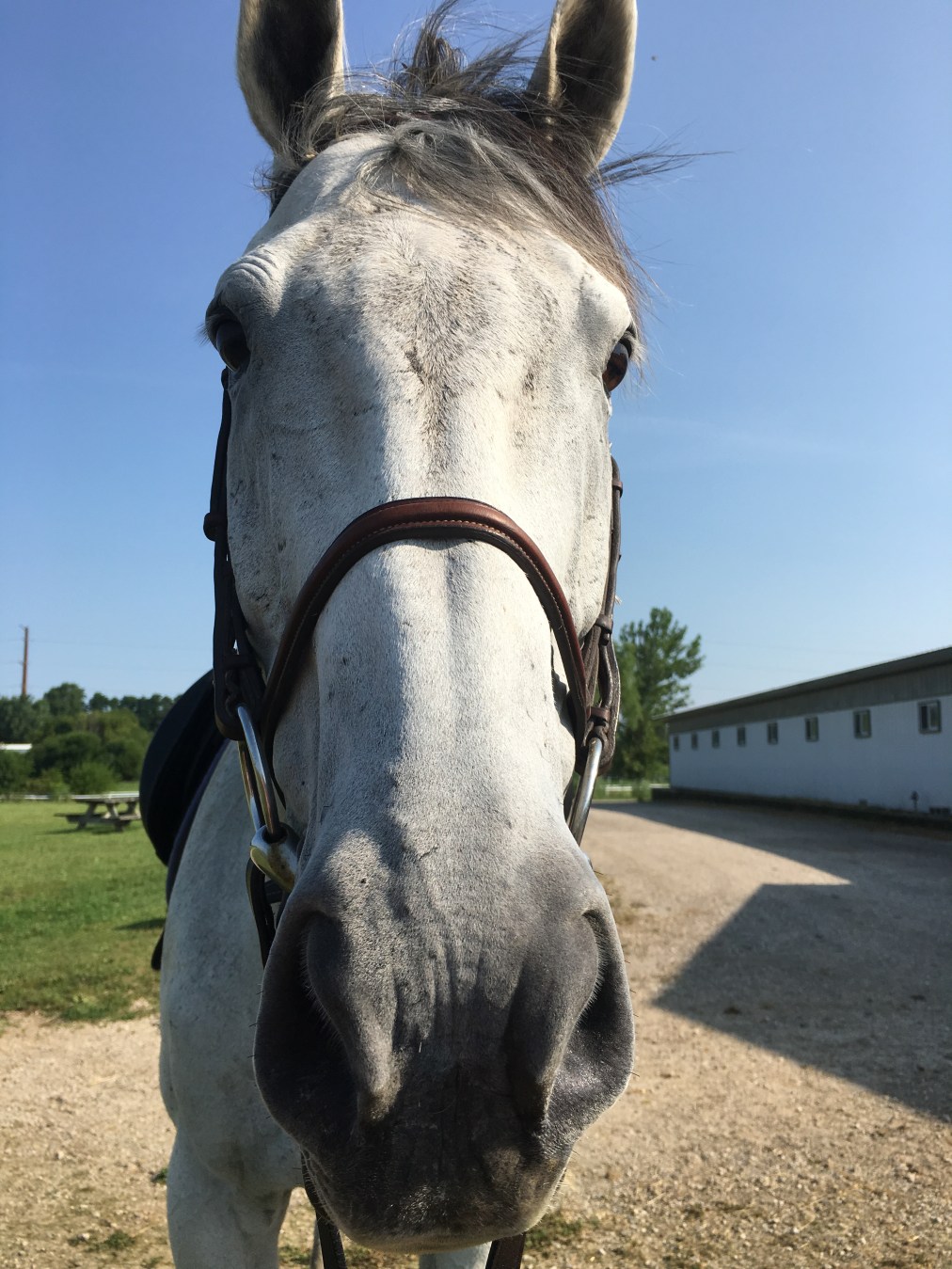 William – October&nbsp;16