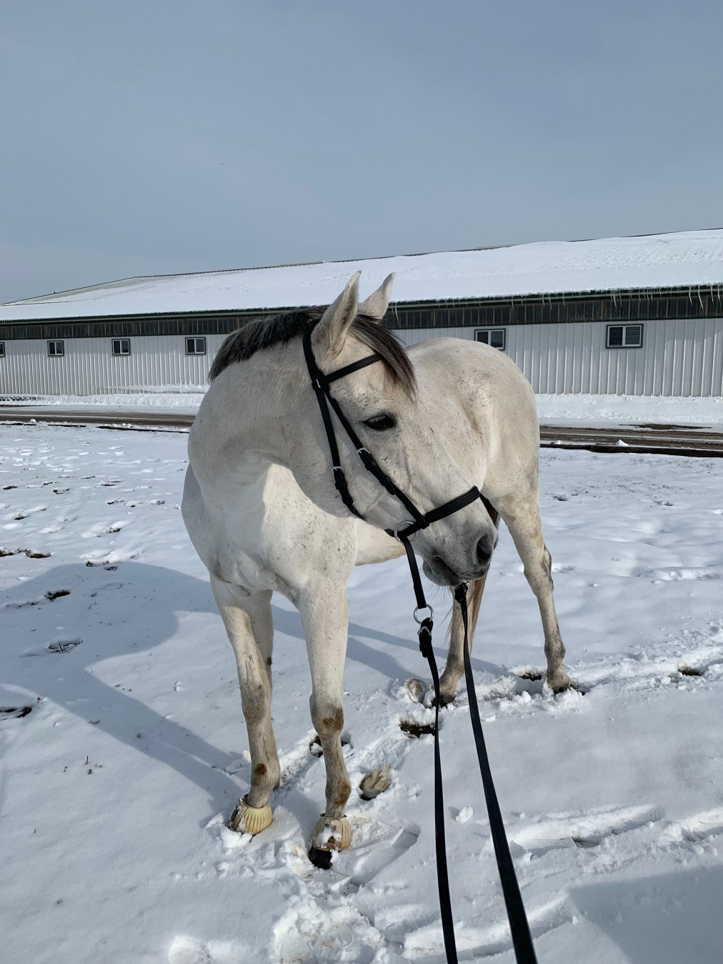 William – February&nbsp;7