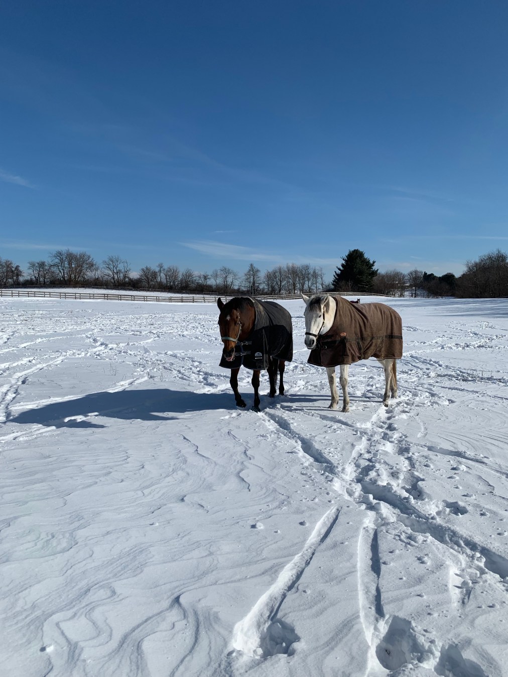 William – December&nbsp;3