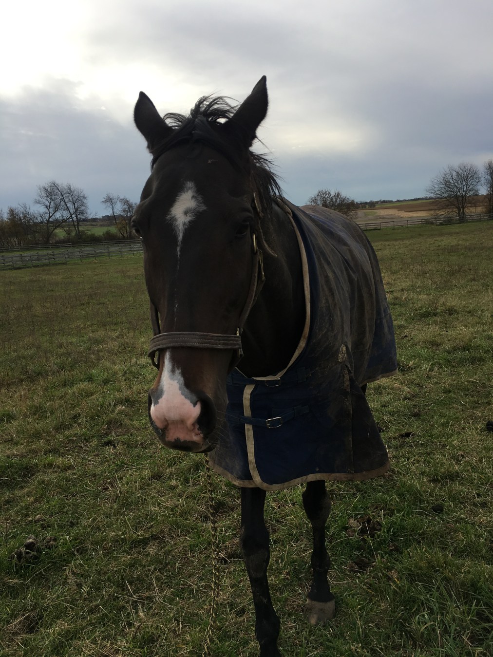 Slew – January&nbsp;7