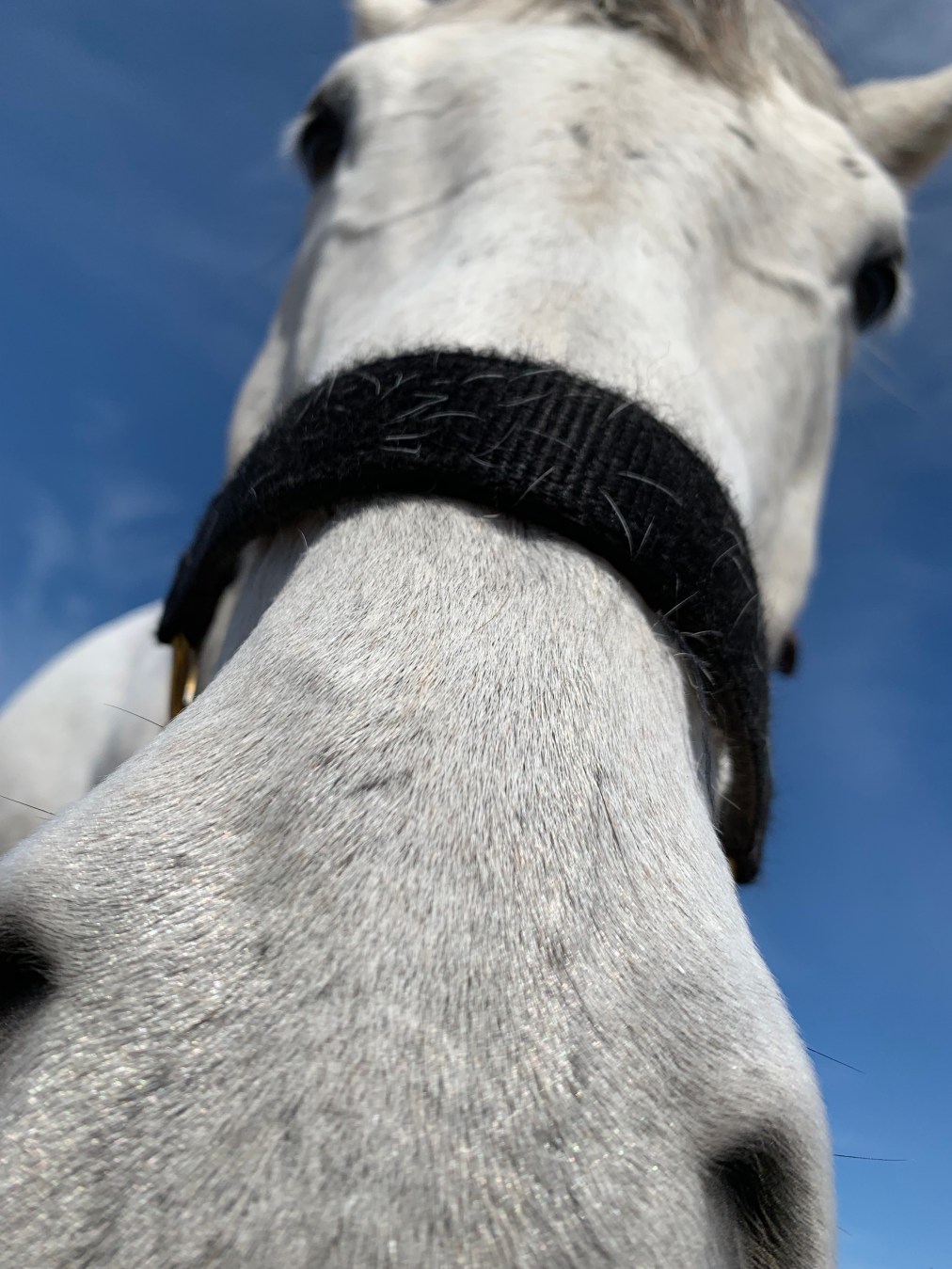 William discovers the&nbsp;selfie🤳